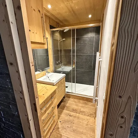 Proche Des Pistes Apartment *